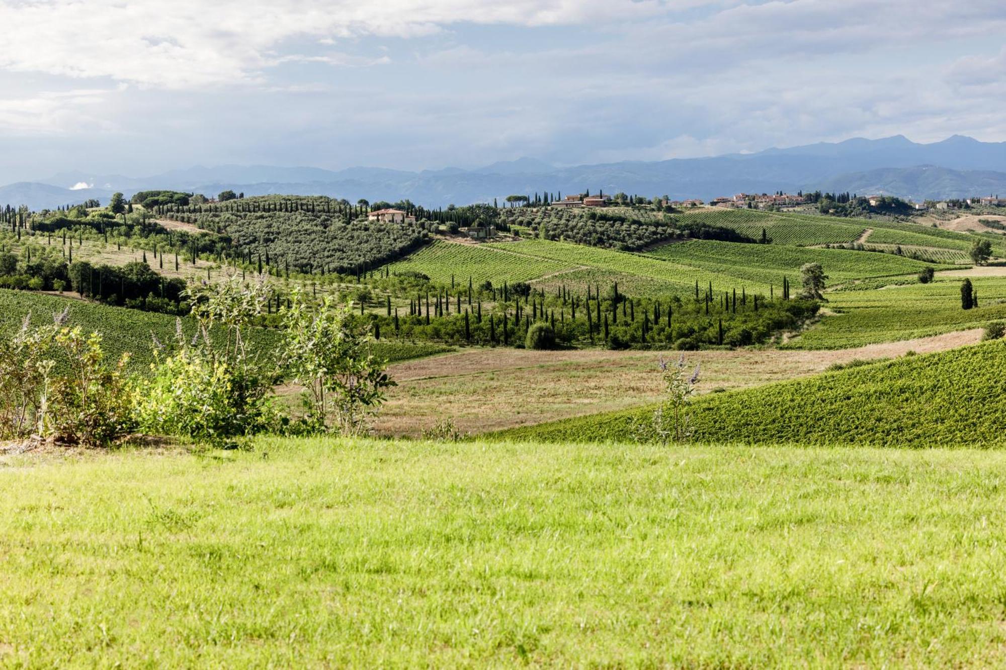 Colle Alberti Country House Cerreto Guidi Extérieur photo